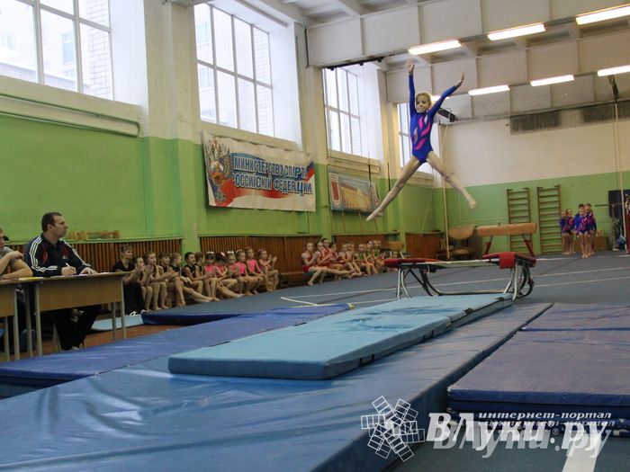 В Великих Луках состоялось Первенство по командной гимнастике (фото)