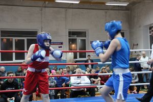 Открытое первенство по боксу прошло в Великих Луках (ФОТО)