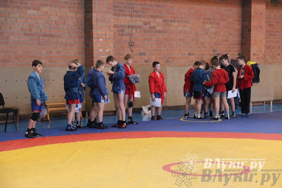 состоялось Открытое первенство города Великие Луки по борьбе самбо