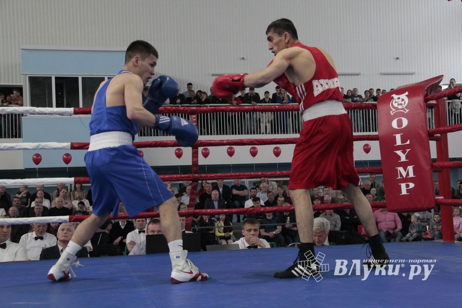 Матчевая встреча по боксу Великие Луки —Псков — Грозный (ФОТО)