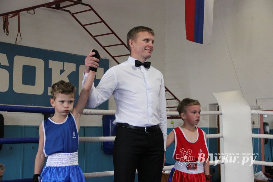 Юные великолучане выявили сильнейших боксёров (ФОТО)