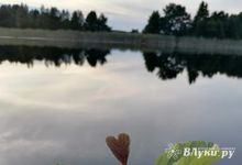 Прогноз погоды в Великих Луках на 22 августа