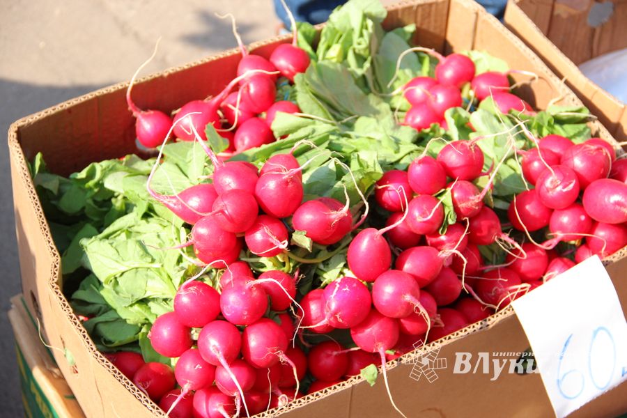 СТЦ «СтройСам» порадовал великолучан на универсальной ярмарке «Весна-2018» (ФОТО)