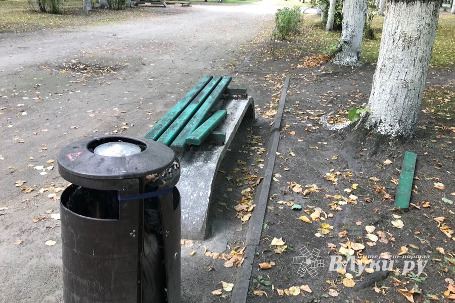 Парк Пушкина: «... А вкруг меня глухое запустенье...» (ФОТО)