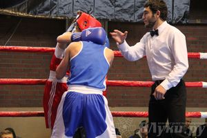 16-й Международный турнир по боксу (фото)