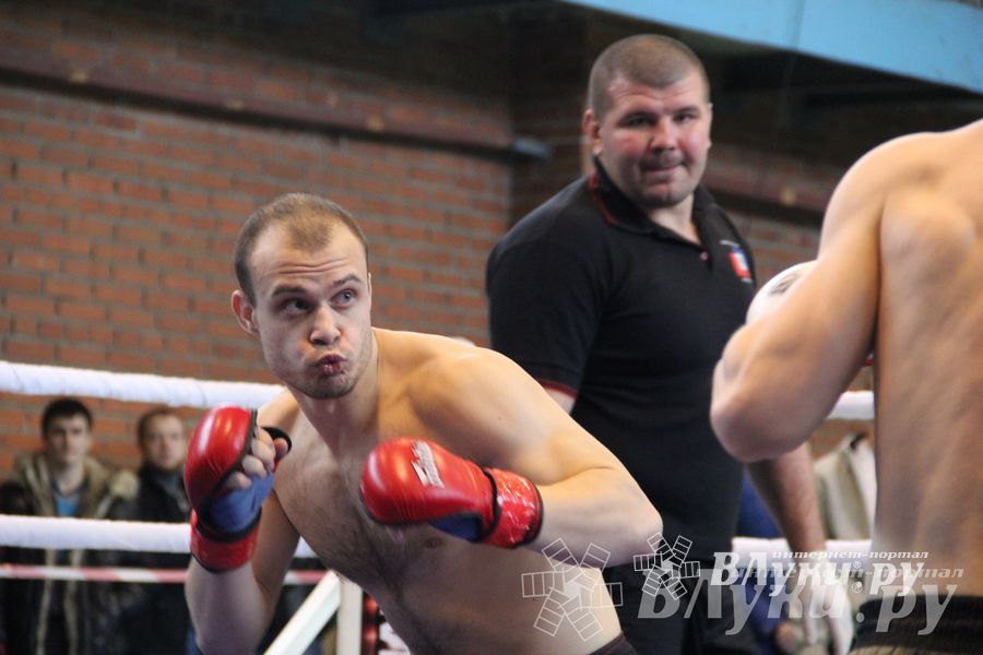 В Великих Луках прошел межрегиональный Открытый Кубок по смешанному боевому единоборству (фото)