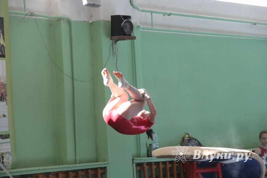 В Великих Луках проходит открытое первенство по спортивной гимнастике (ФОТО)