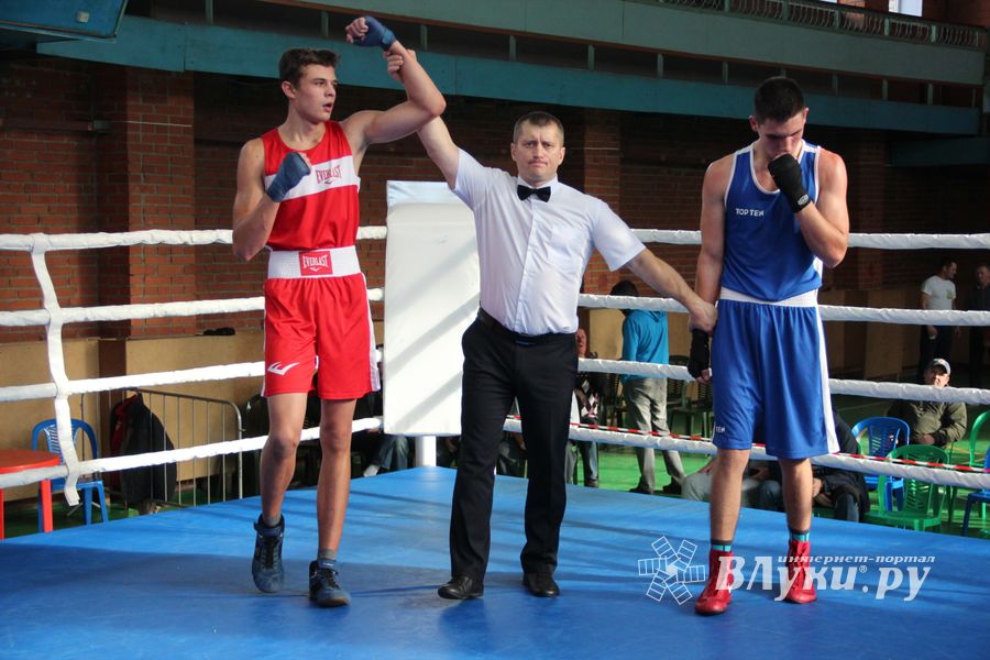 В Великих Луках прошел турнир по боксу памяти Е. Клевцова (ФОТО)