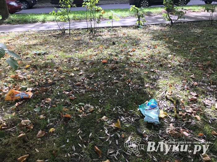 Парк Пушкина: «... А вкруг меня глухое запустенье...» (ФОТО)