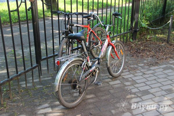 Великолучанка украла два велосипеда