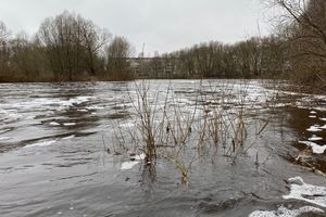 © ВЛуки.ру