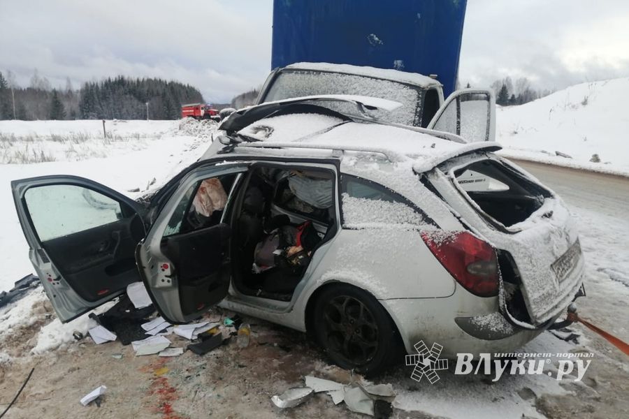 Смертельное ДПТ произошло в Куньинском районе (ФОТО)