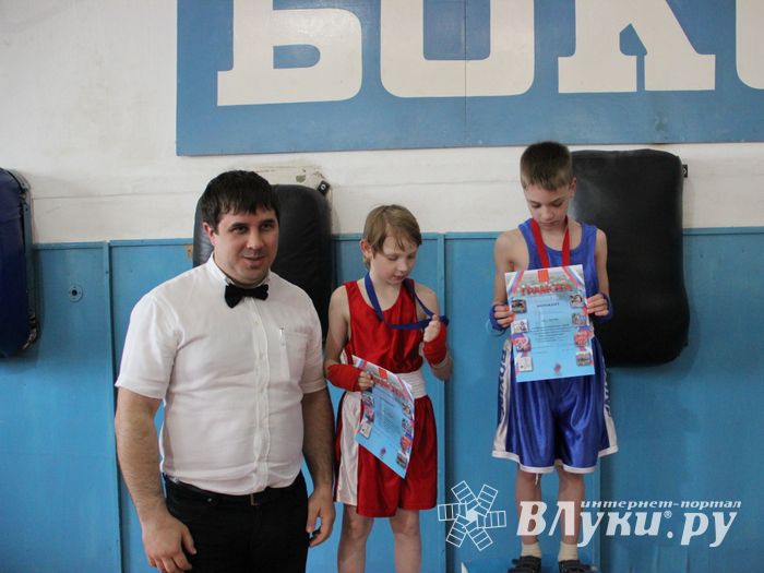 Юные великолучане выявили сильнейших боксёров (ФОТО)