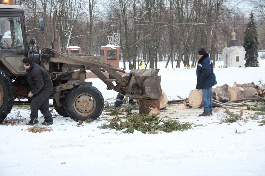 Главная городская ёлка отправилась на свалку (ФОТО)
