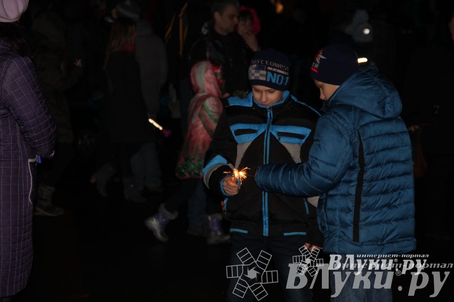 Праздник городской новогодней елки