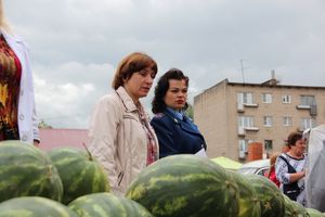 В Великих Луках проверили бахчевые (ФОТО)