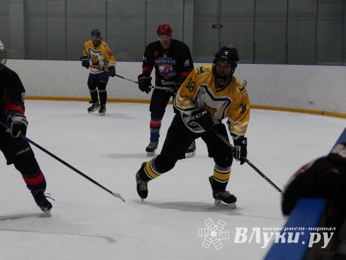 Матч в рамках Регионального Чемпионата НХЛ прошел в «Айсберге» (ФОТО)