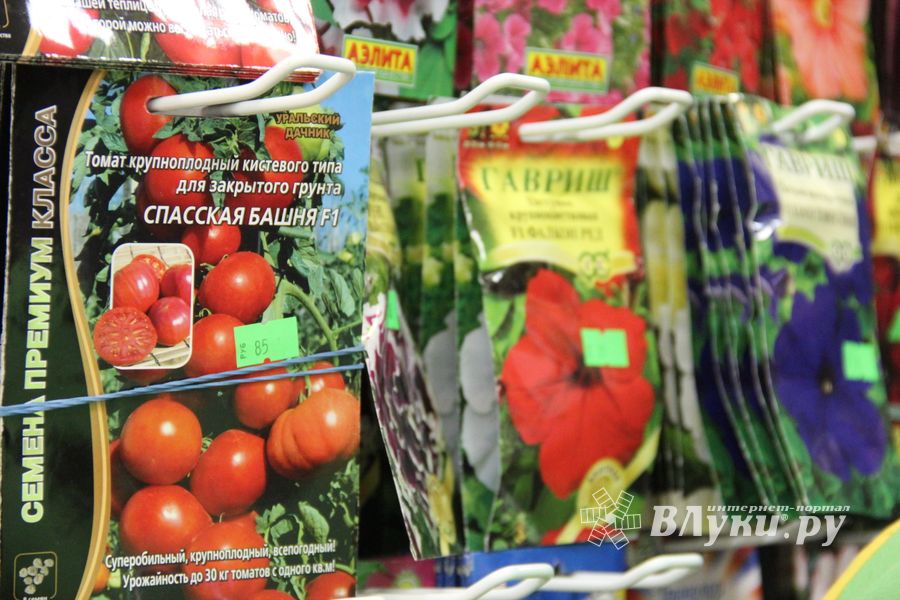 «Золотая Репка» удивляет! (ФОТО)