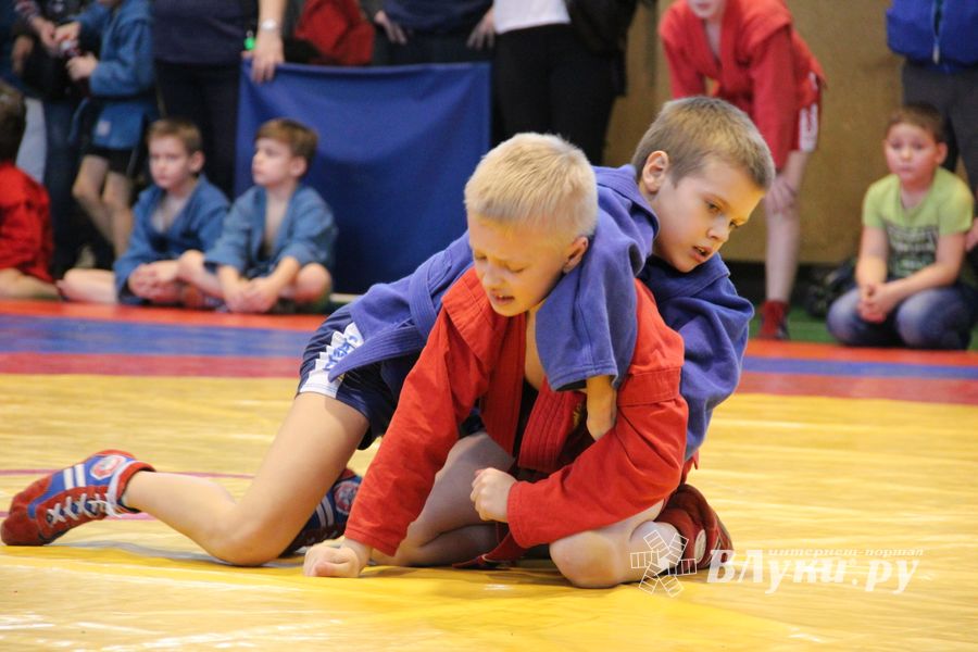 Открытый турнир по самбо «Новогодняя звезда-2019» прошел в Великих Луках (ФОТО)