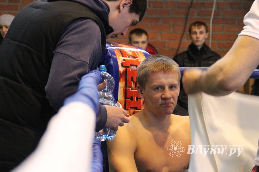 В Великих Луках прошел межрегиональный Открытый Кубок по смешанному боевому единоборству (фото)