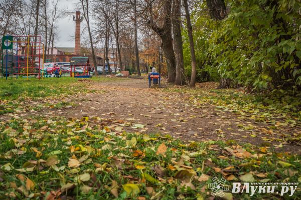 Прогноз погоды на 17 сентября в Великих Луках