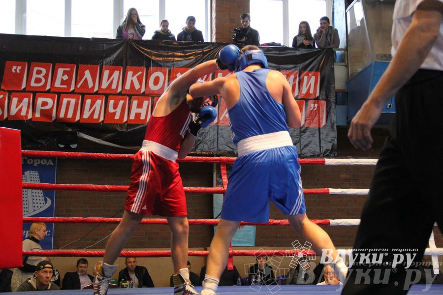 16-й Международный турнир по боксу (фото)