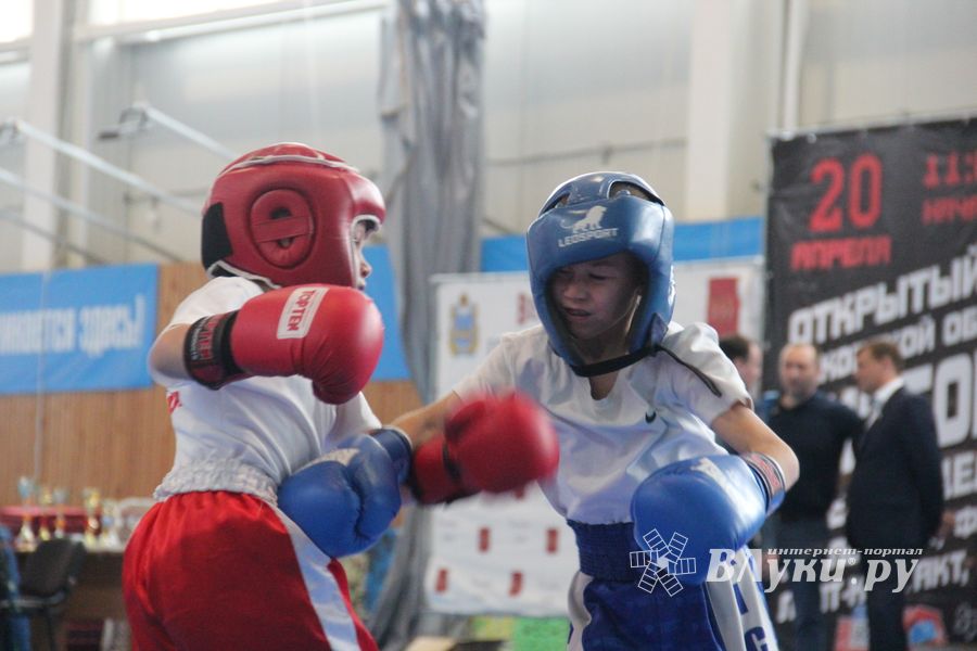 В Великих Луках проходит Кубок по кикбоксингу (ФОТО) (0+)