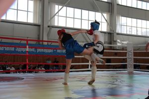 В Великих Луках прошел Кубок области по кикбоксингу (ФОТО)