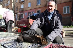 Универсальная торговая ярмарка «Весна-2015» прошла в Великих Луках (фото)