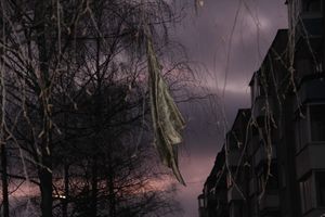 Сегодня утром в Великих Луках взорвался газ (фото)