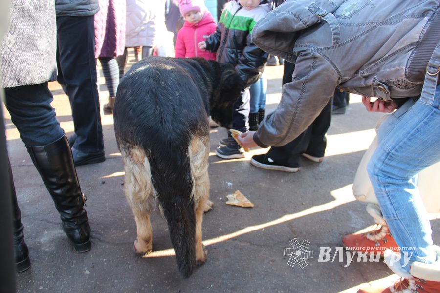 В Великих Луках широко отметили Масленицу (ФОТО)