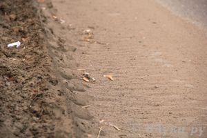 Город в ожидании субботника