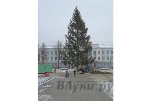 © ВЛуки.ру