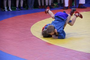 В Великих Луках проходит турнир самбистов (ФОТО)