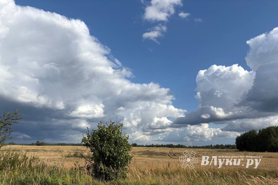 © ВЛуки.ру