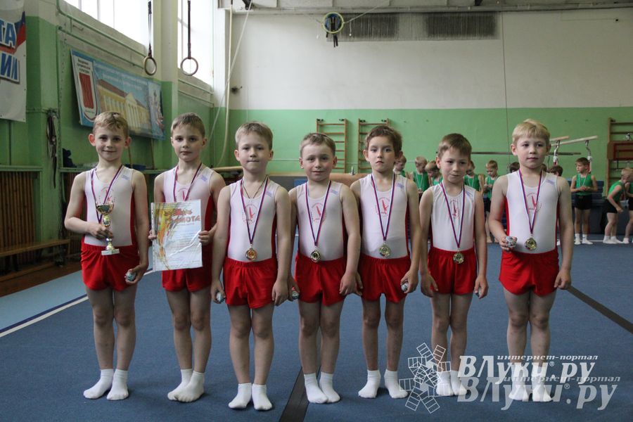 В Великих Луках состоялось Первенство по командной гимнастике (фото)