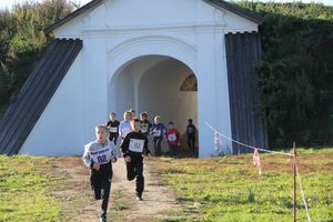Легкоатлетический осенний кросс прошел в Великих Луках (фоторепортаж)