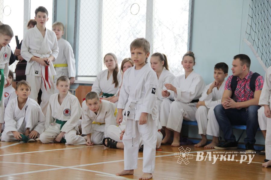 В Великих Луках прошел  турнир по Шотокан каратэ