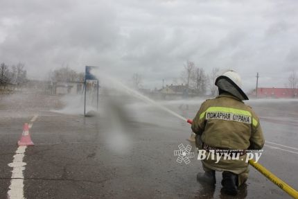 В Пскове прошел пожарный биатлон (фото)