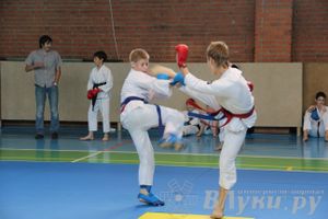 Турнир по каратэ «Неприкосновенный запас — дети Отчизны»