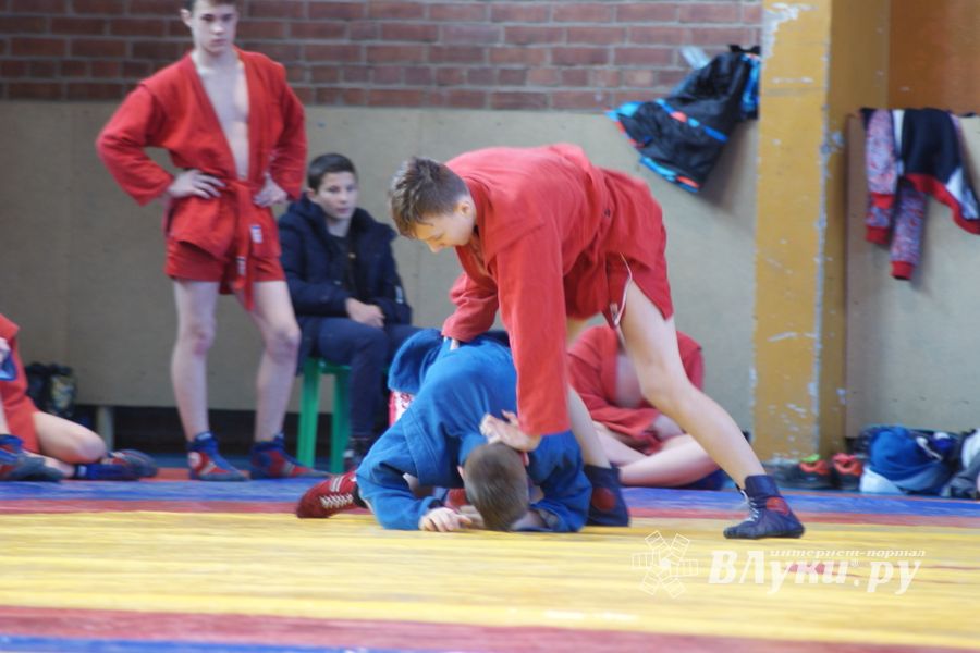 Великолучане завоевали призовые места на турнире по самбо «Память» (ФОТО)