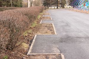 ​Великолучане могут помериться ладошками (ФОТО)