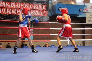 3-й день соревнований Международного турнира по боксу