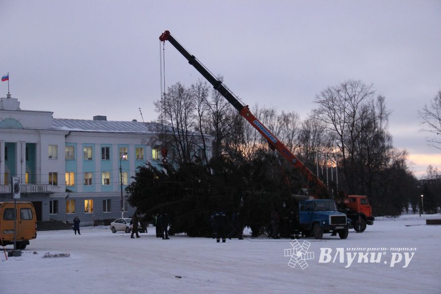 Новогодняя ёлочка приехала наконец в Великие Луки (ФОТО)