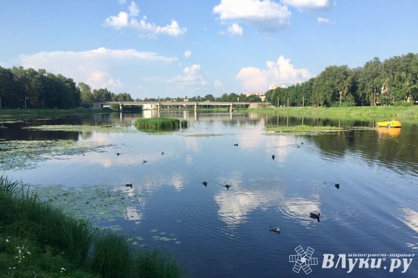 Погода недели: неустойчивое лето