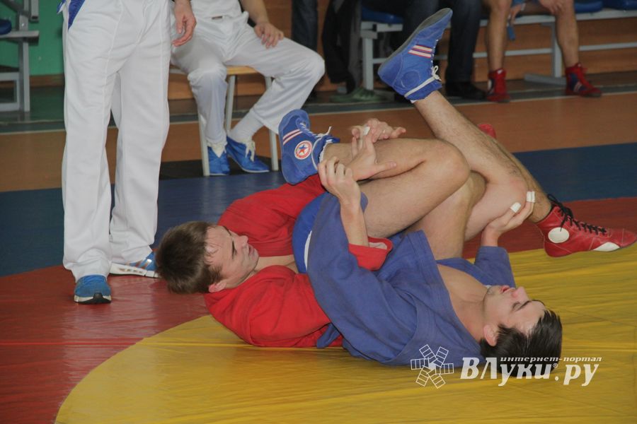 В Великих Луках прошел турнир по самбо, посвященный подвигу Александра Матросова (ФОТО)