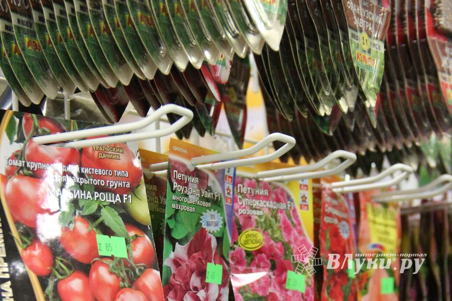 «Золотая Репка» удивляет! (ФОТО)