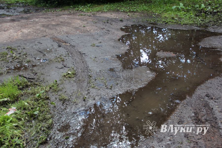 Великие Луки после дождичка в четверг (ФОТО)