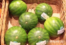 Эксперты рассказали, когда уже можно есть арбузы и как их выбирать