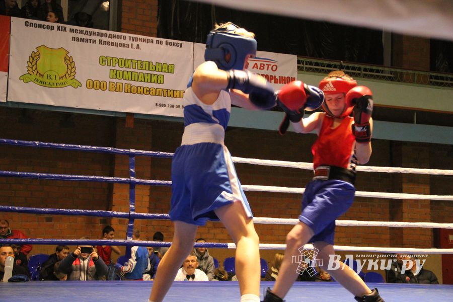 В Великих Луках проходят соревнования по боксу памяти Е.А. Клевцова (фоторепортаж)